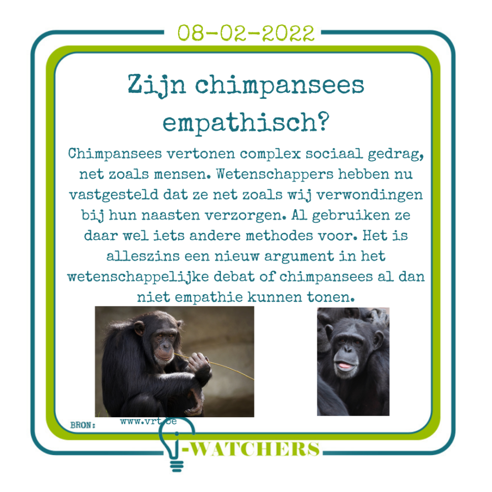Zijn chimpansees empatisch?