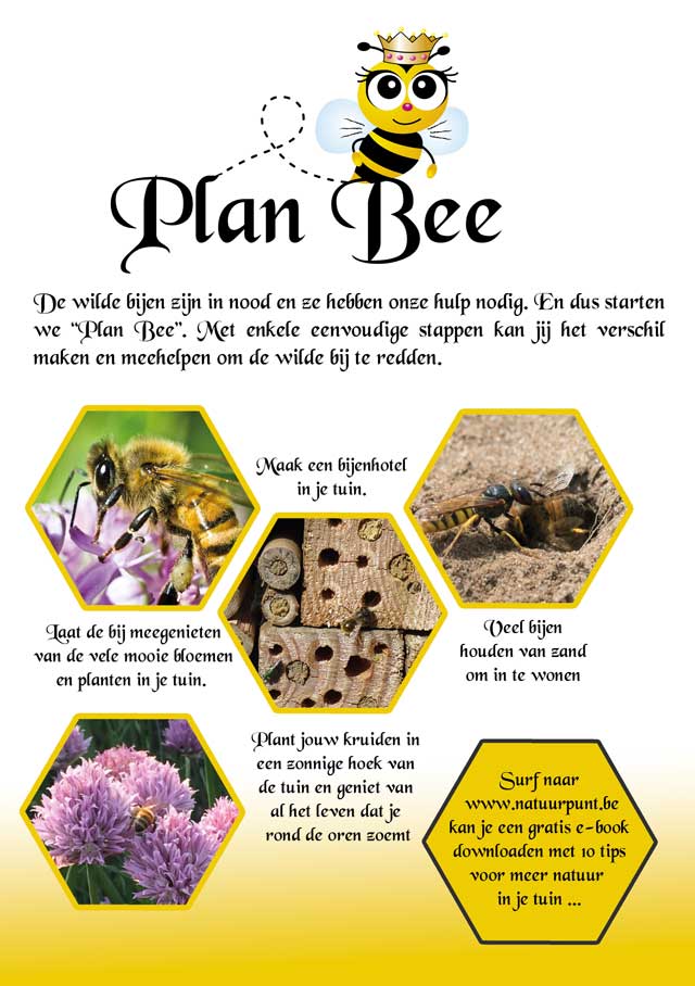 plan bee